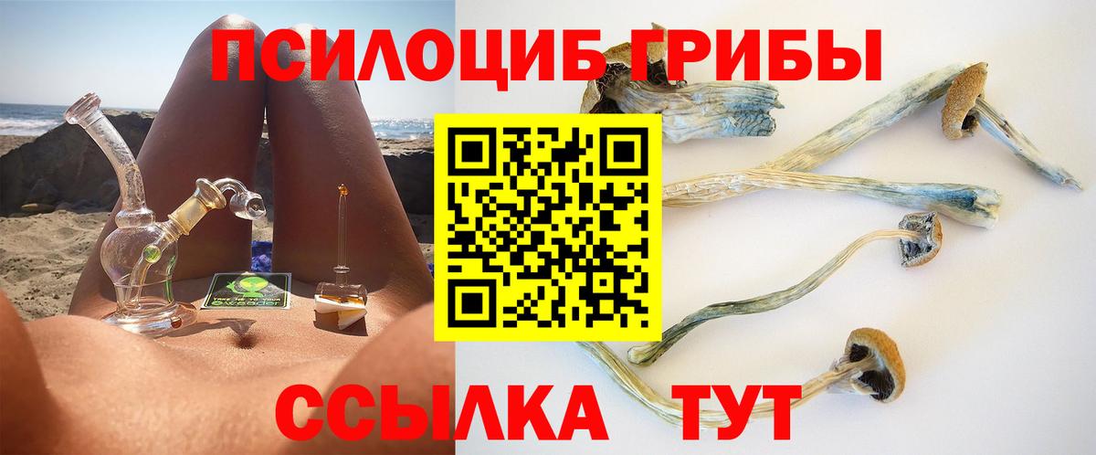 Сафоново  Псилоцибиновые грибы Psilocybine cubensis  Вход с VPN  Псилоцибиновые грибы Magic Shrooms 